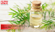 How to tea tree oil uses for skin Clear and Glowing Skin