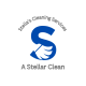 Professional Cleaning Services