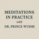 Meditations in Practice