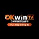 Okwin TV