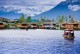 Golden Triangle Tour with Kashmir