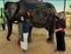 Taj Mahal & Wildlife SOS Tour