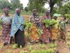 Agricultural Social Enterprise