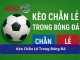 Kèo Chẵn Lẻ – Đa Dạng Kiểu Cược, Lợi Nhuận Hấp Dẫn