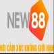 Nhà cái NEW88
