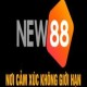 Nhà cái NEW88