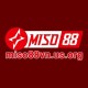 Miso88