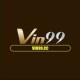 VIN99