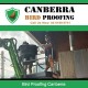 Canberra Bird Proofing