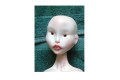 2014 Polymer Clay Fashion Art Doll